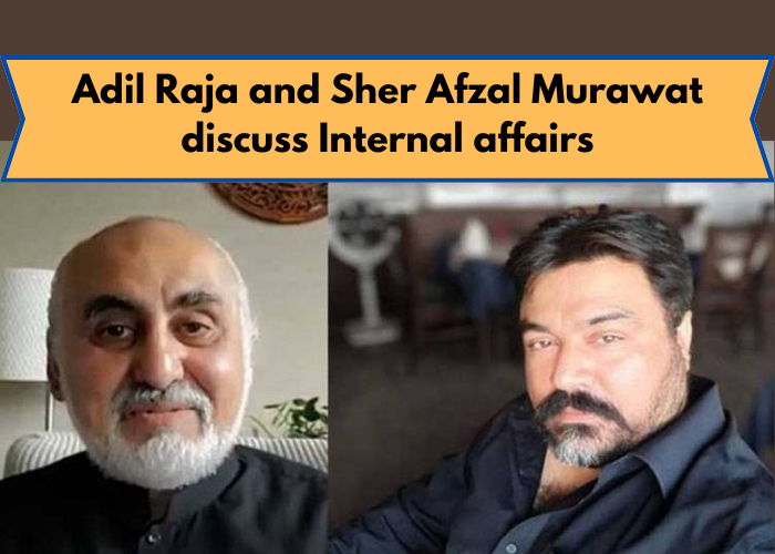 PTI Senior Vice President Sher Afzal Marwat called social media activists Adil Farooq Raja and Haider Raza Mehdi, who are both formerAdil Raja and Haider Mehdi are unrelated to PTI: Marwat